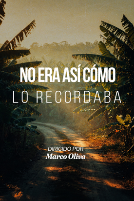 No era así como lo recordaba